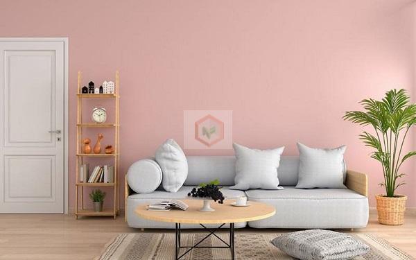 Sơn không gian nội thất màu hồng đất