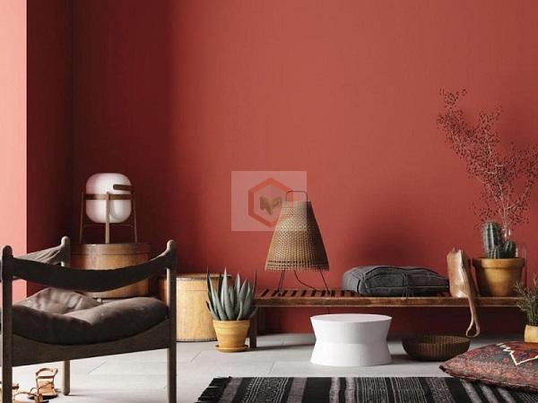 Màu sơn đỏ san hô cho không gian nội thất