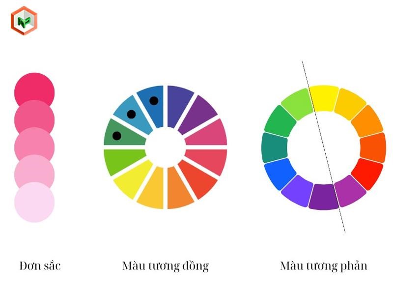 Top 10 Màu Sơn Xu Hướng Nổi Bật Trong Năm 2026 30 Phối màu sơn đẹp phù hợp xu hướng và phong thủy