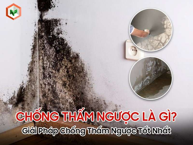 Chống thấm ngược là gì?