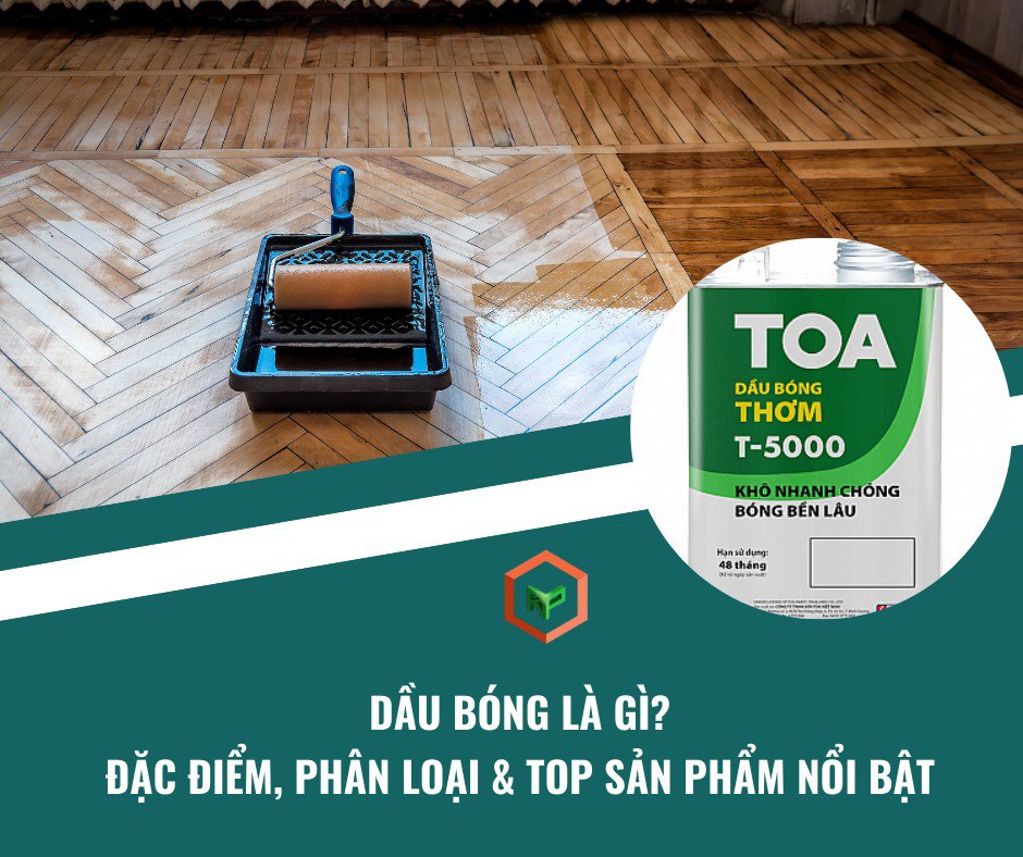 Dầu Bóng Là Gì? Đặc Điểm, Phân Loại & Top Sản Phẩm Nổi Bật 