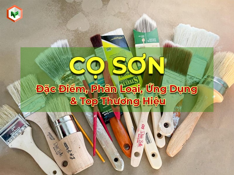 Cọ sơn: Đặc điểm phân loại, ứng dụng & top thương hiệu