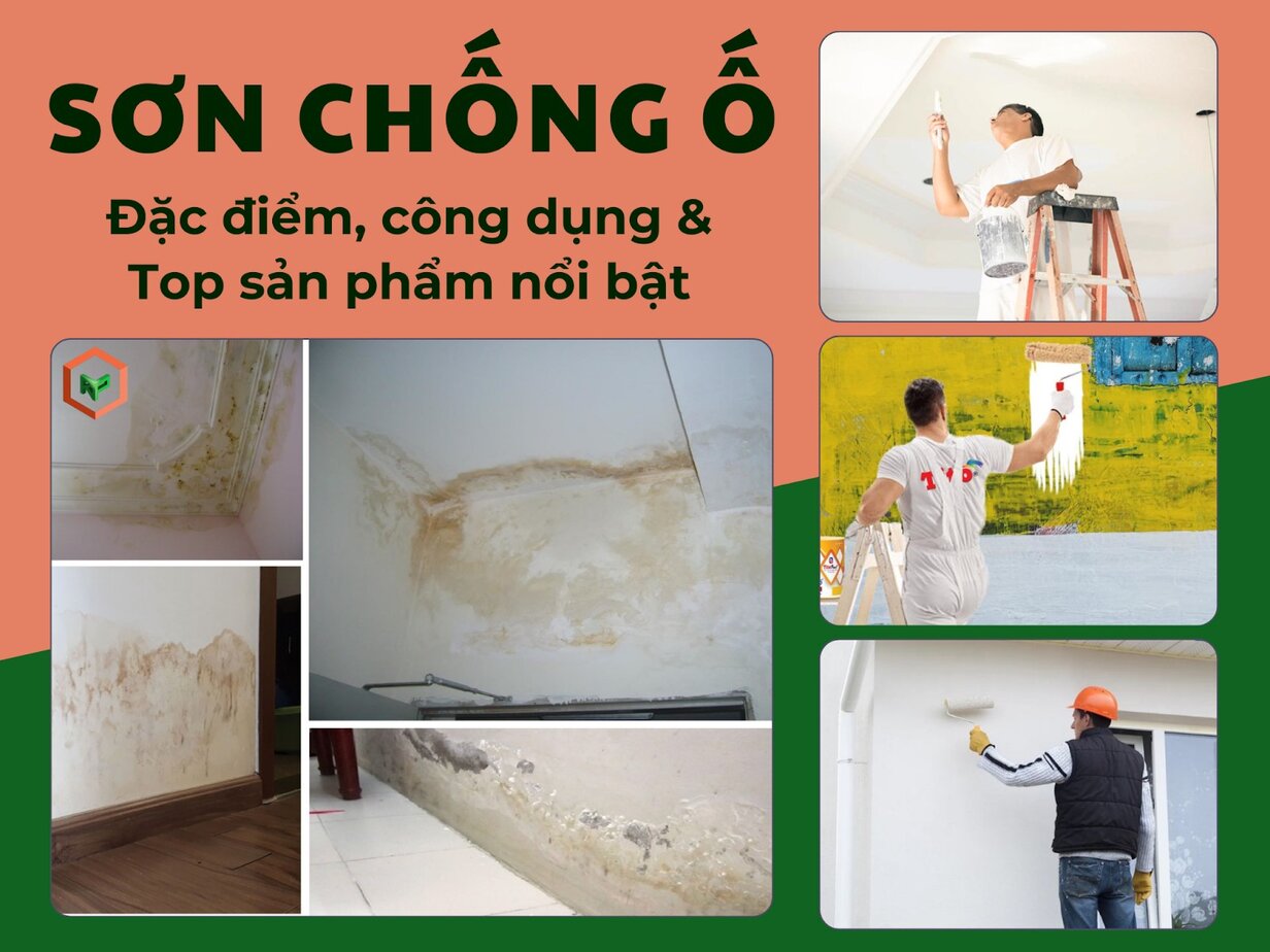 Sơn Chống Ố: Đặc Điểm, Công Dụng & Top Sản Phẩm Nổi Bật
