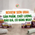Tìm hiểu về sơn URAI