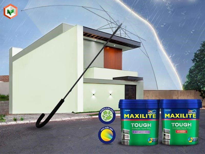 Maxilite trở thành lựa chọn phổ biến cho nhiều công trình nhà ở và dân dụng.